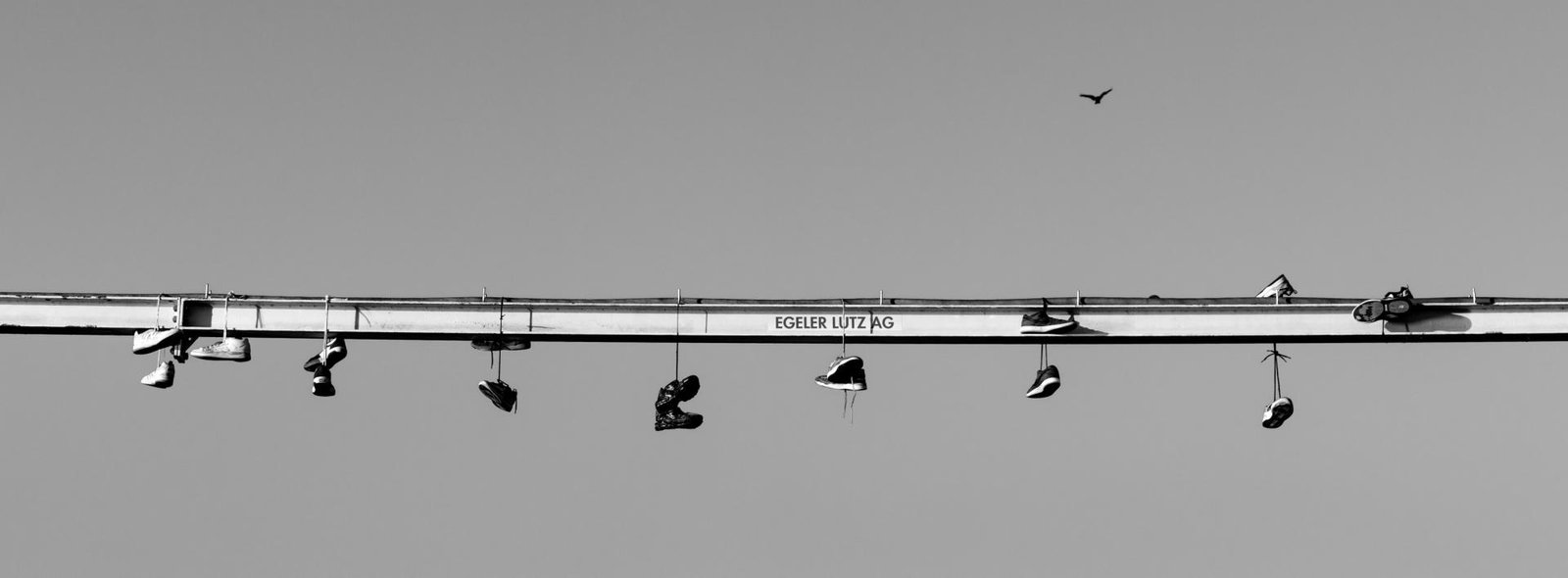 London Photography Awards Winner - Flying High