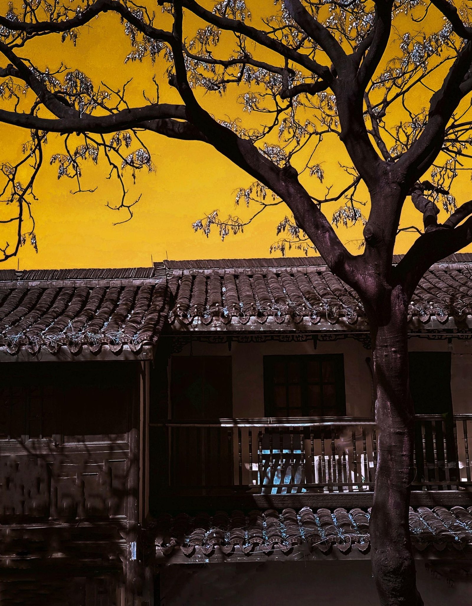 London Photography Awards Winner - Southern Song Dynasty Residence