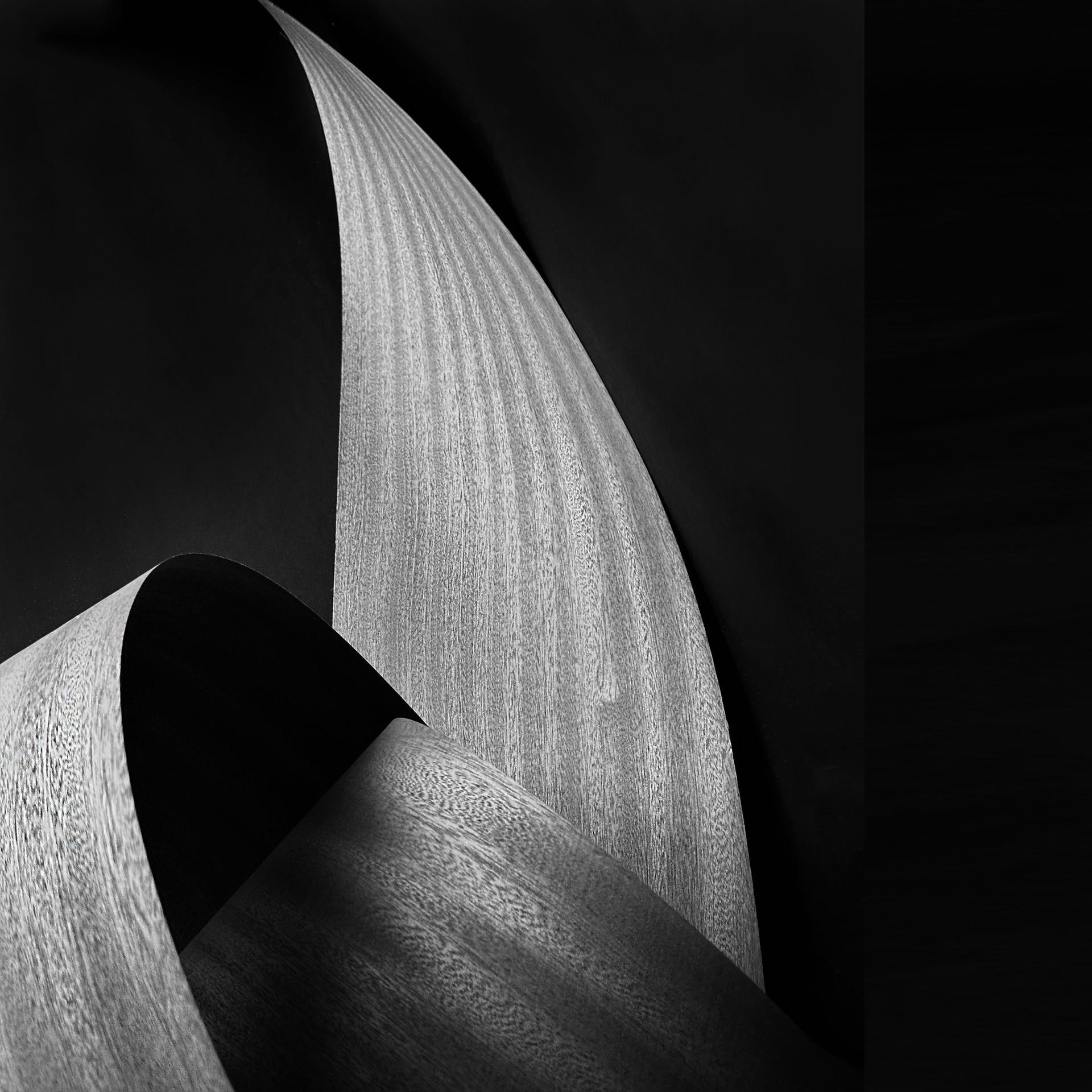 London Photography Awards Winner - Simplified Arc Structure