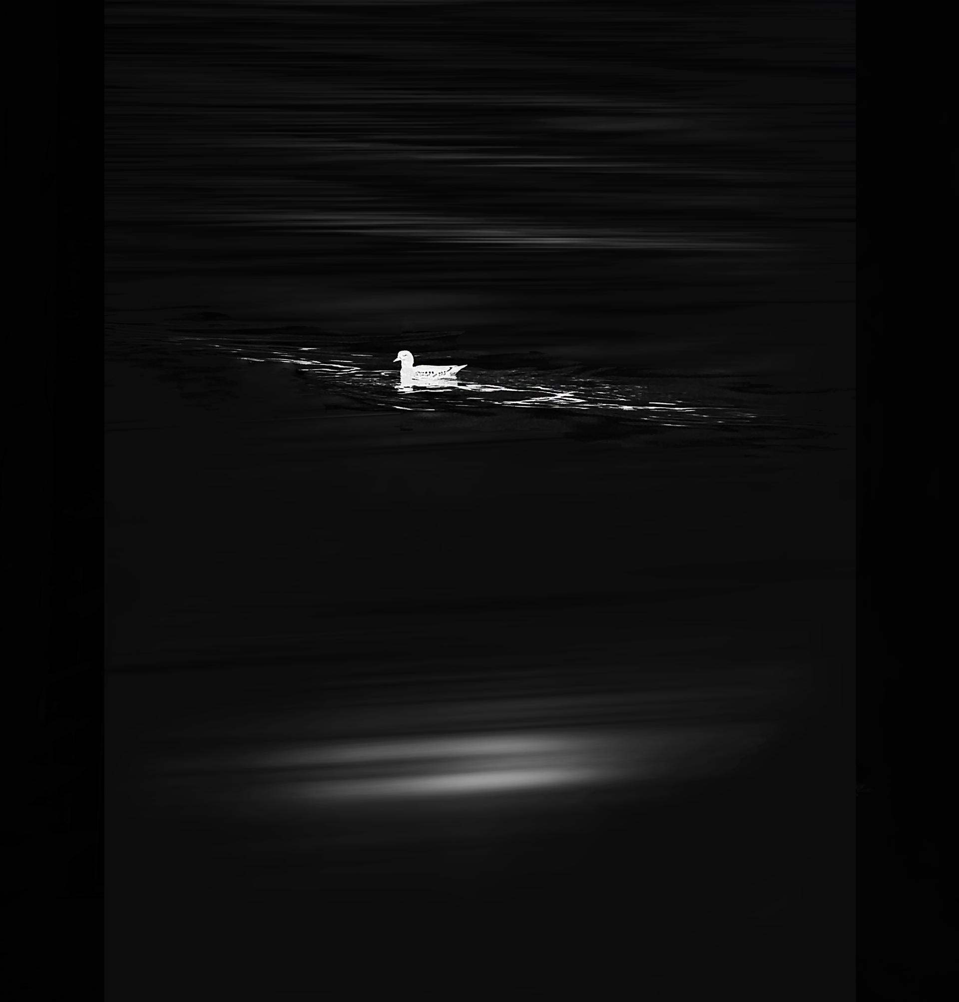 London Photography Awards Winner - Under the moonlight
