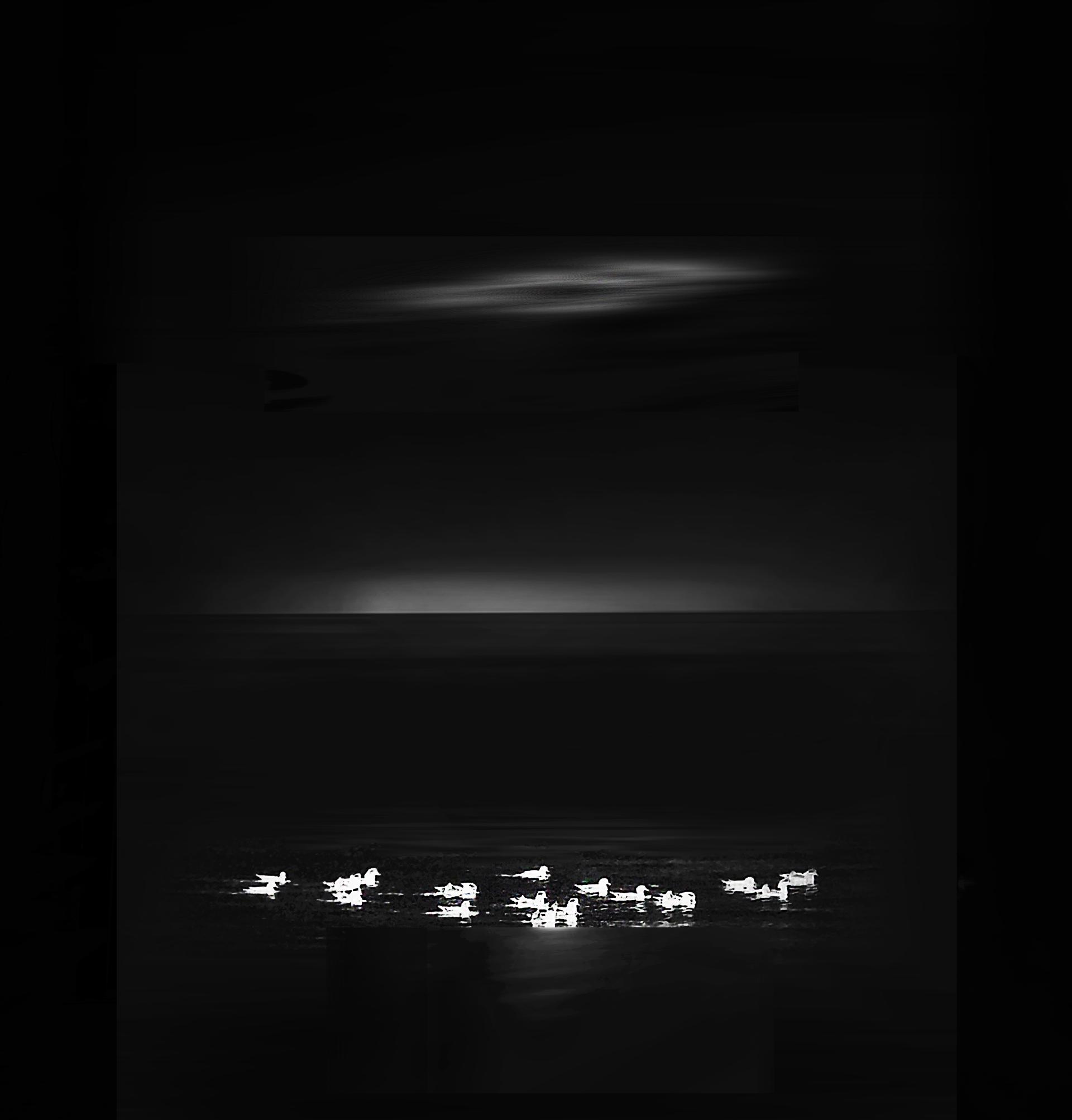 London Photography Awards Winner - Under the moonlight