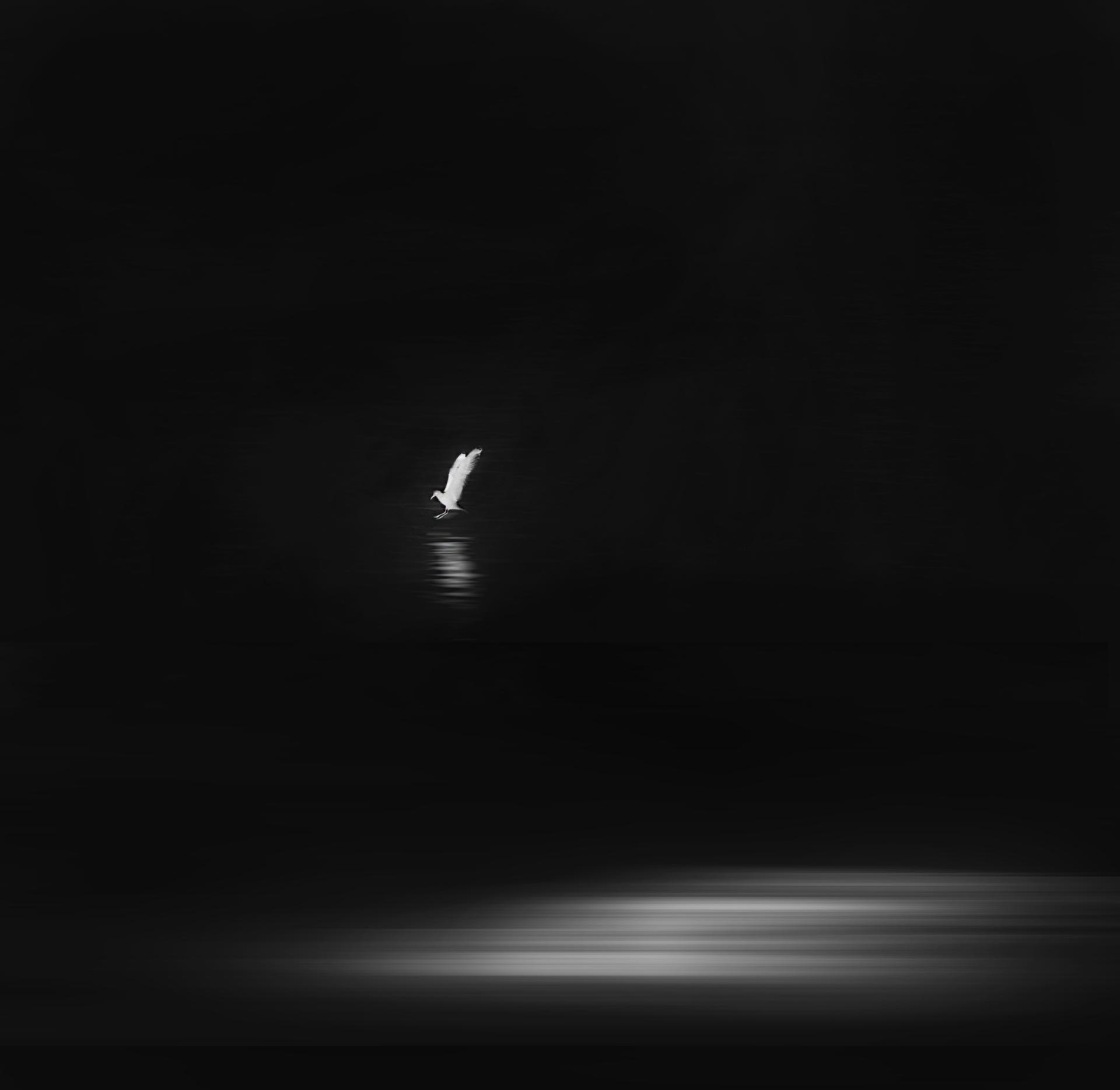 London Photography Awards Winner - Under the moonlight