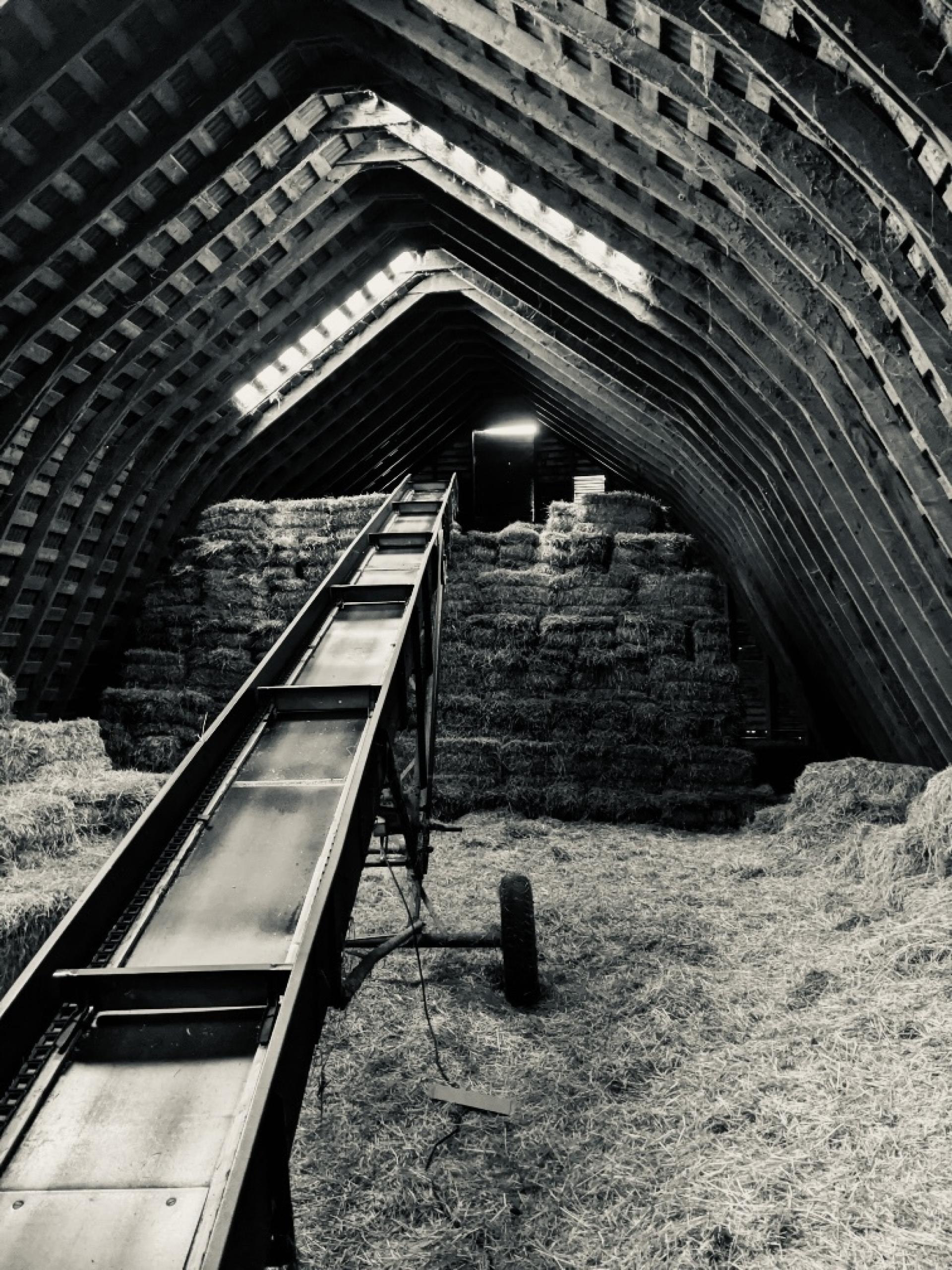 London Photography Awards Winner - Hayloft