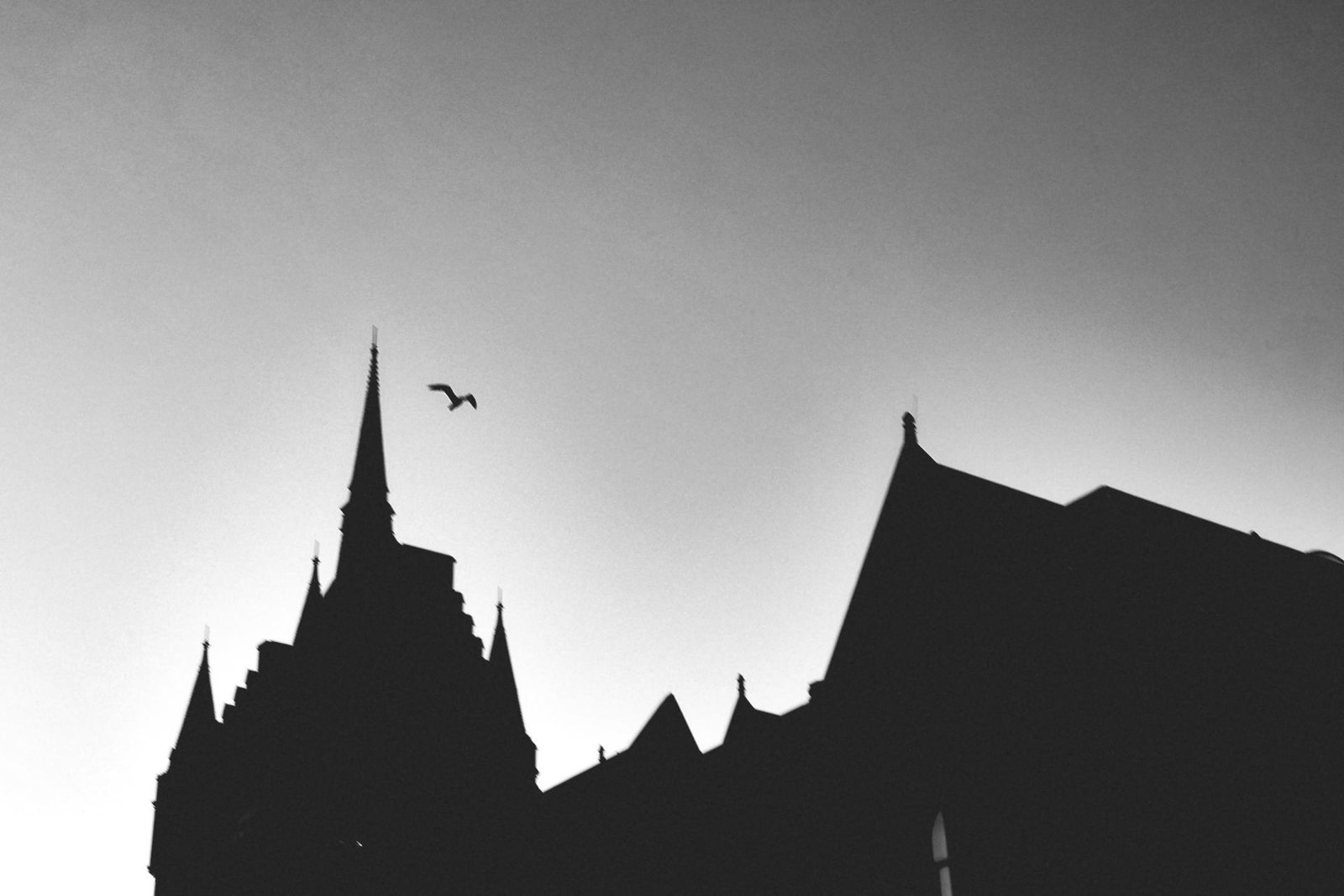London Photography Awards Winner - The Gothic Spirit of London