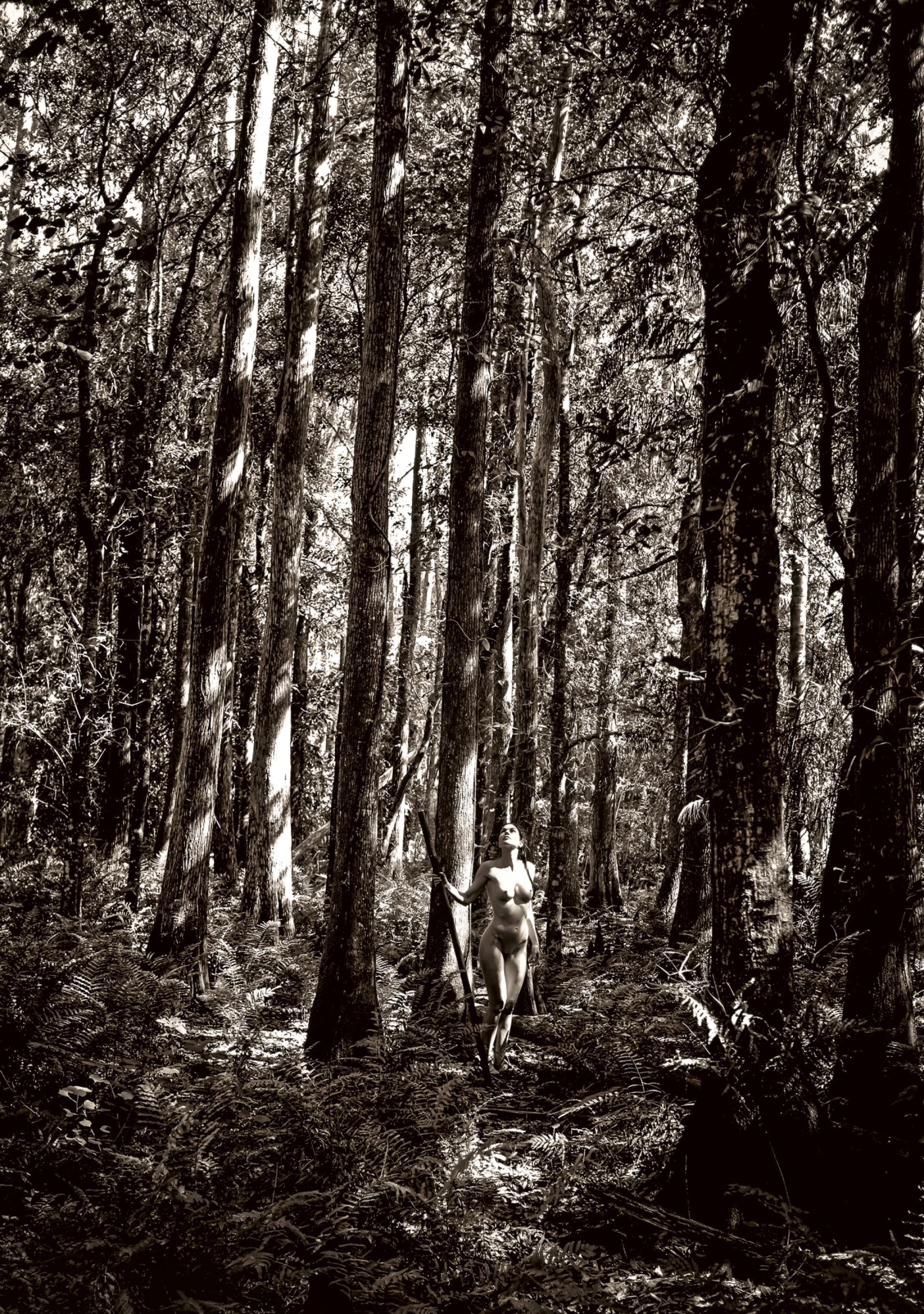 London Photography Awards Winner - Anima Sylvarum
