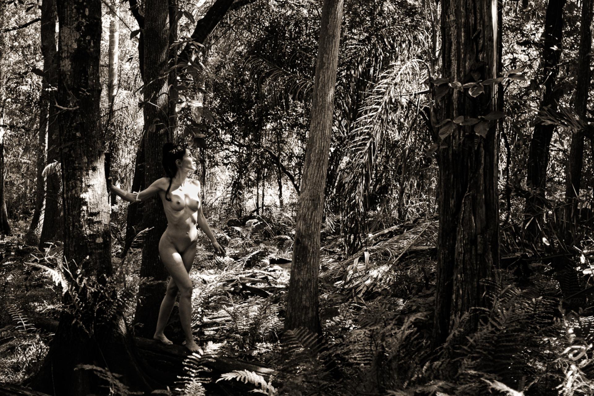 London Photography Awards Winner - Anima Sylvarum