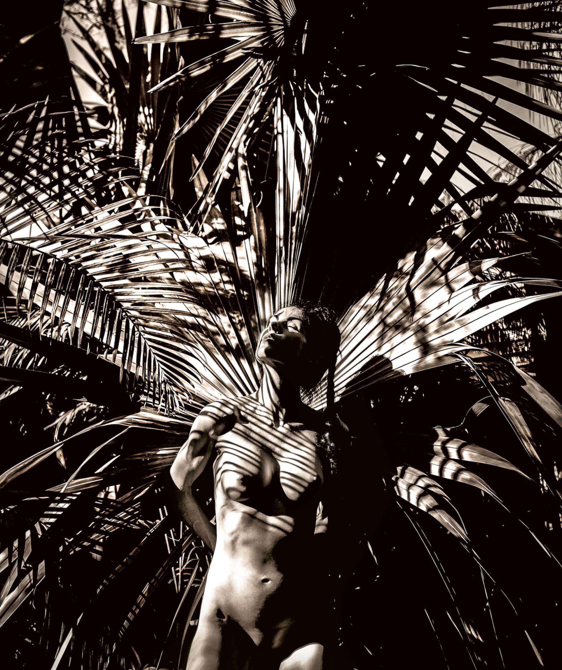 London Photography Awards Winner - The Headwoman