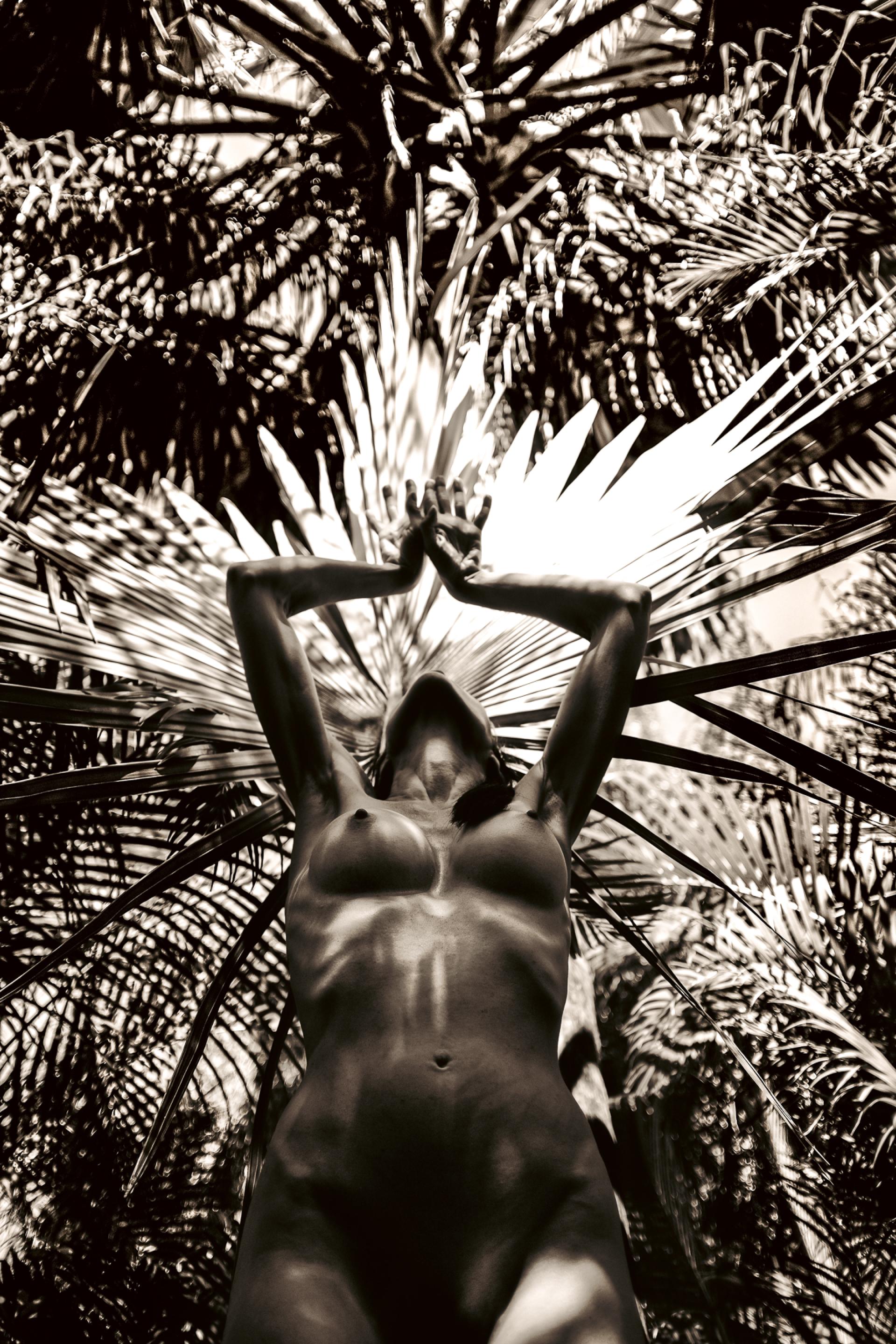 London Photography Awards Winner - The Headwoman