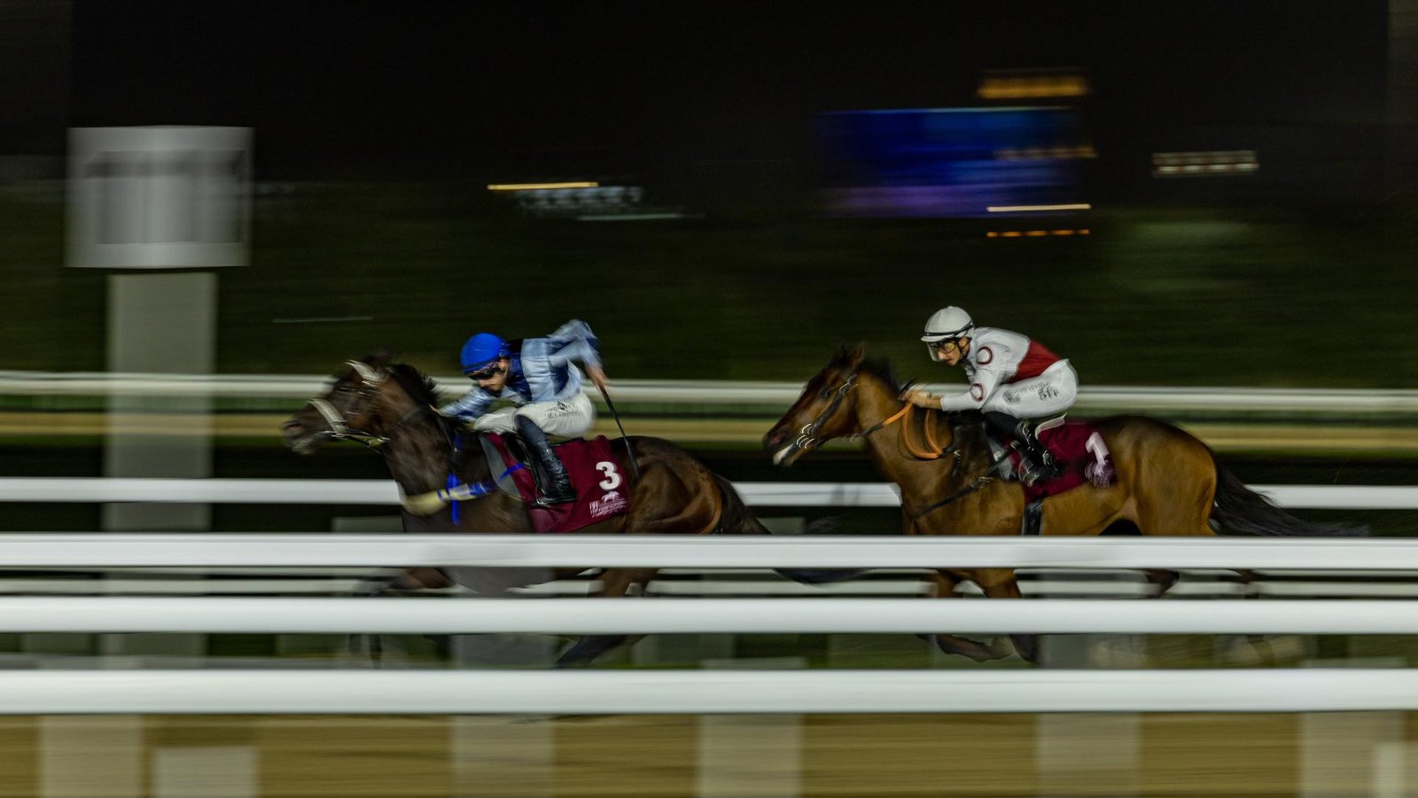 London Photography Awards Winner - Head to Head- duel for glory
