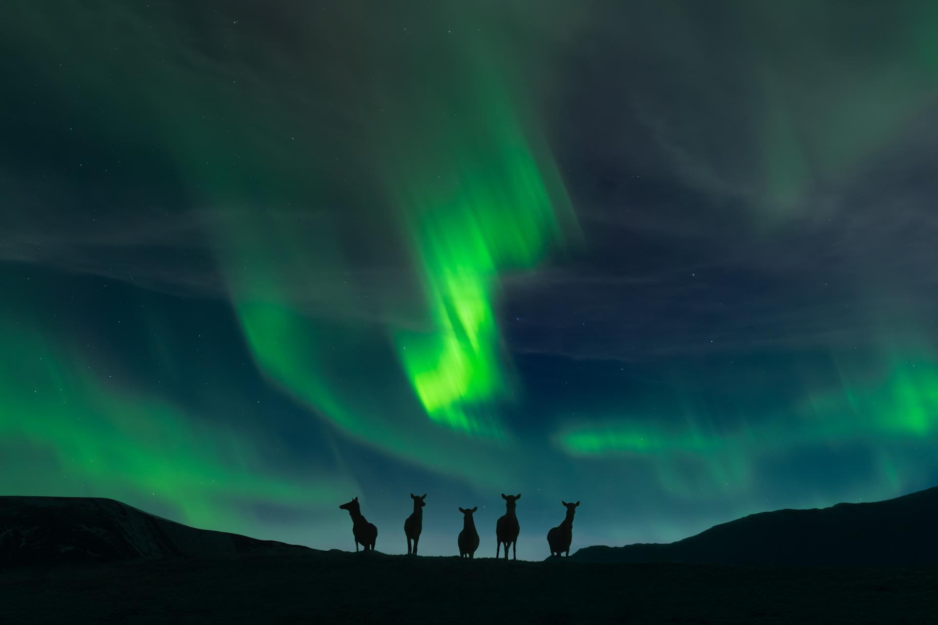 London Photography Awards Winner - Edge of Night