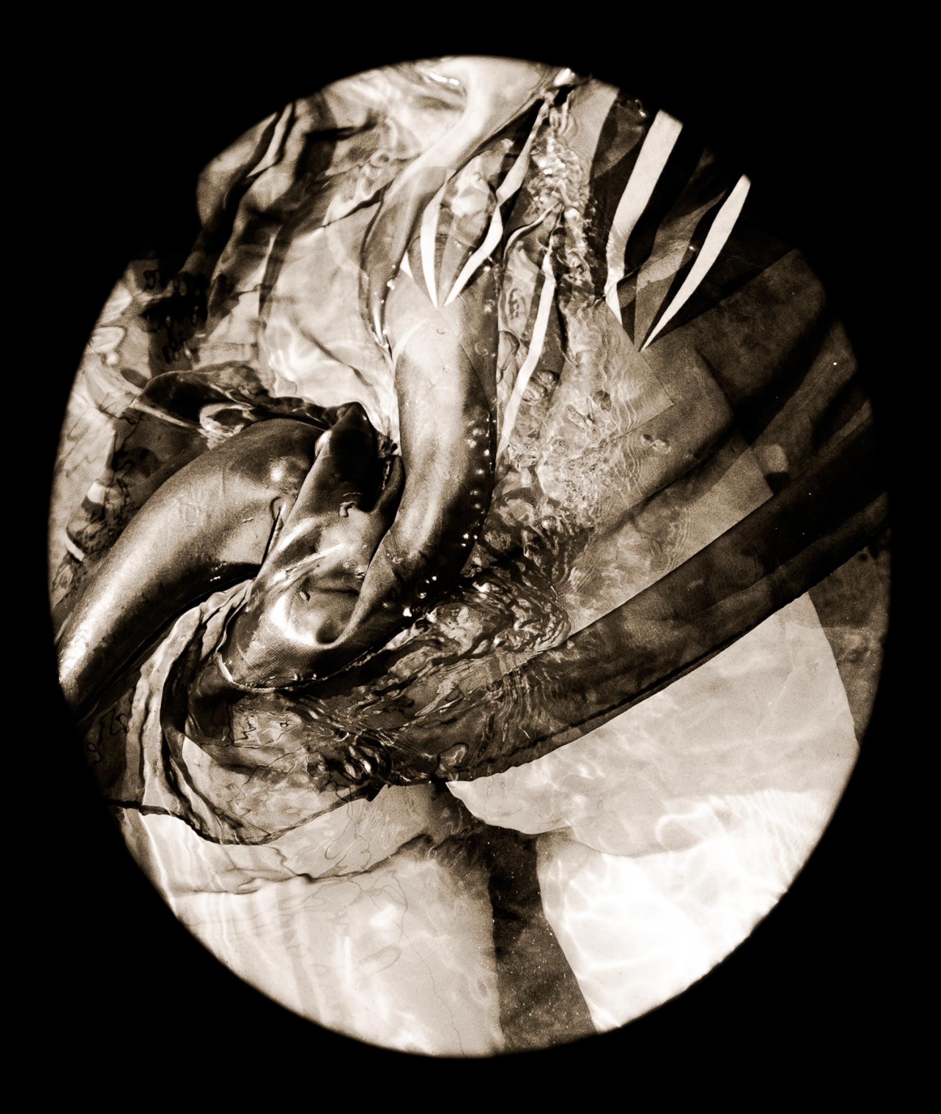 London Photography Awards Winner - Queen of Hearts