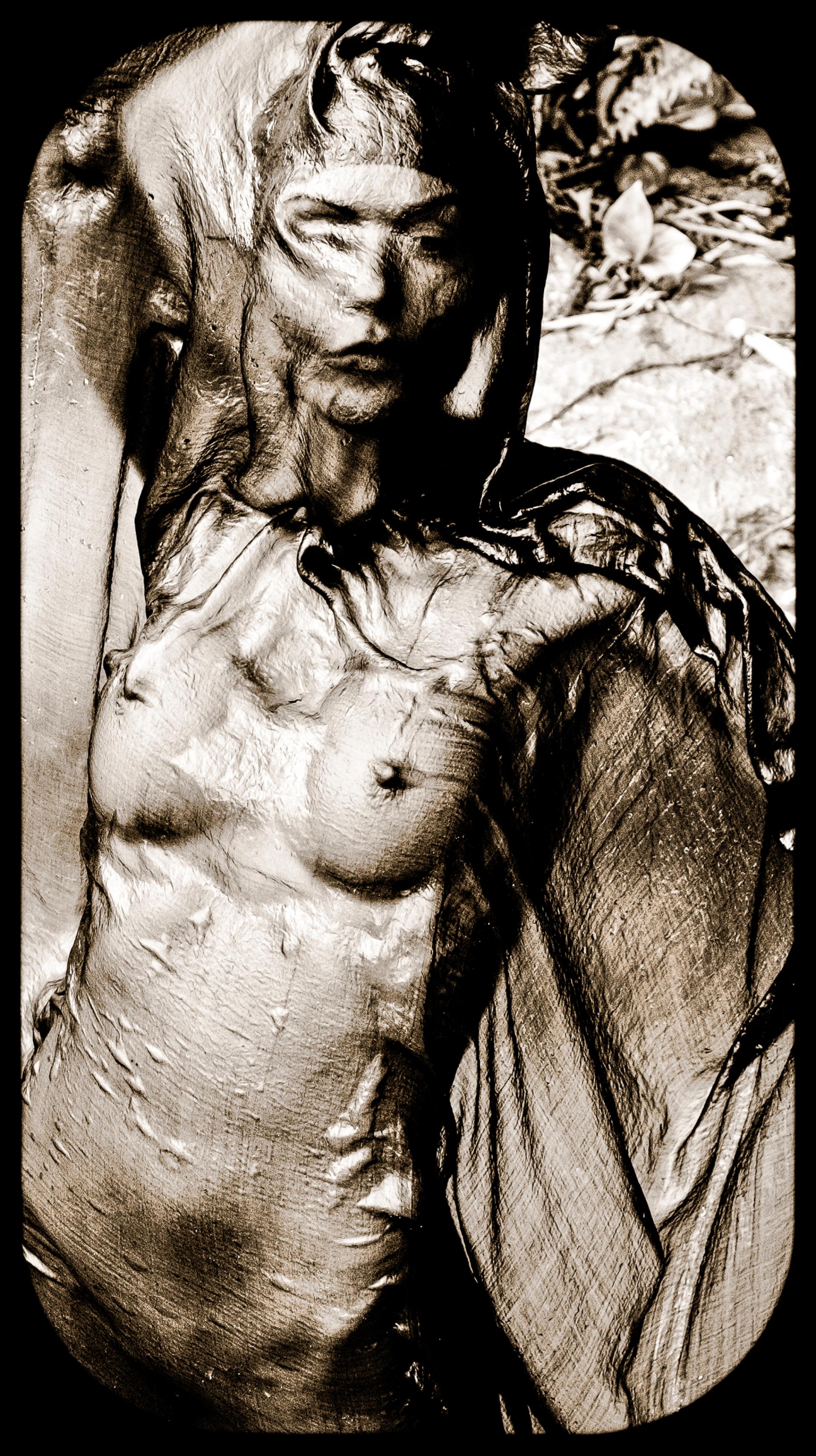London Photography Awards Winner - Queen of Hearts