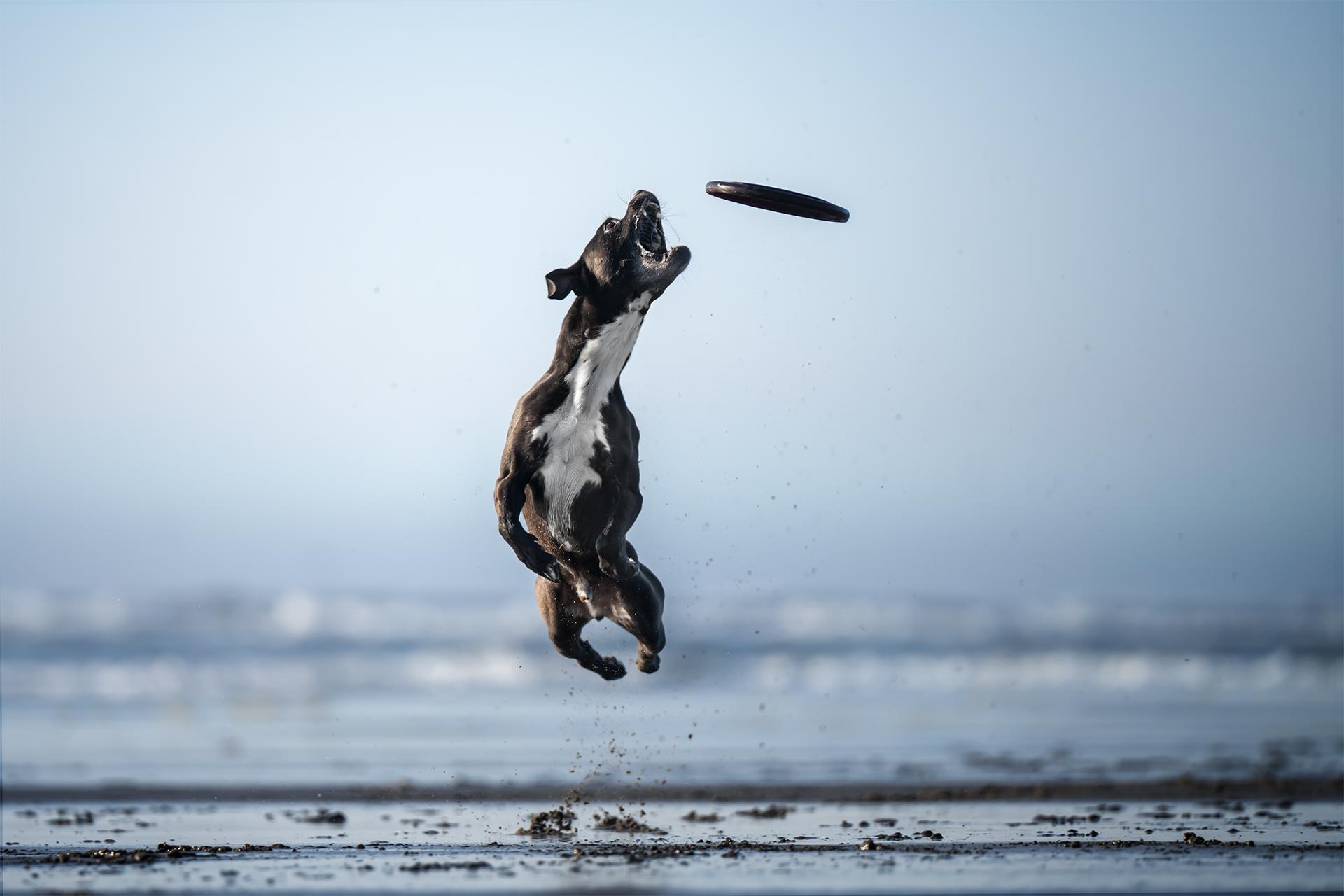 London Photography Awards Winner - All In 