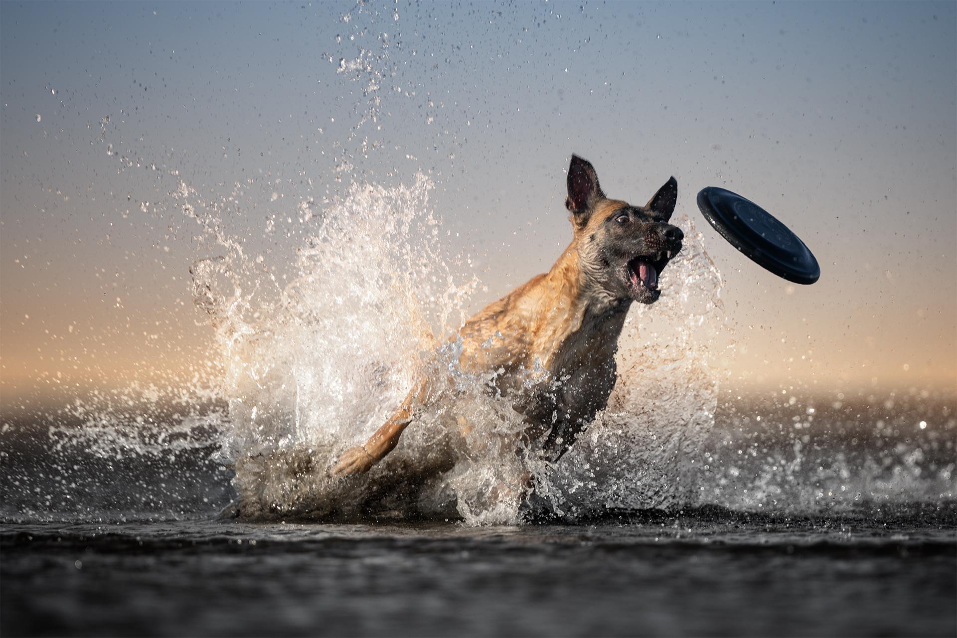 London Photography Awards Winner - Target Locked