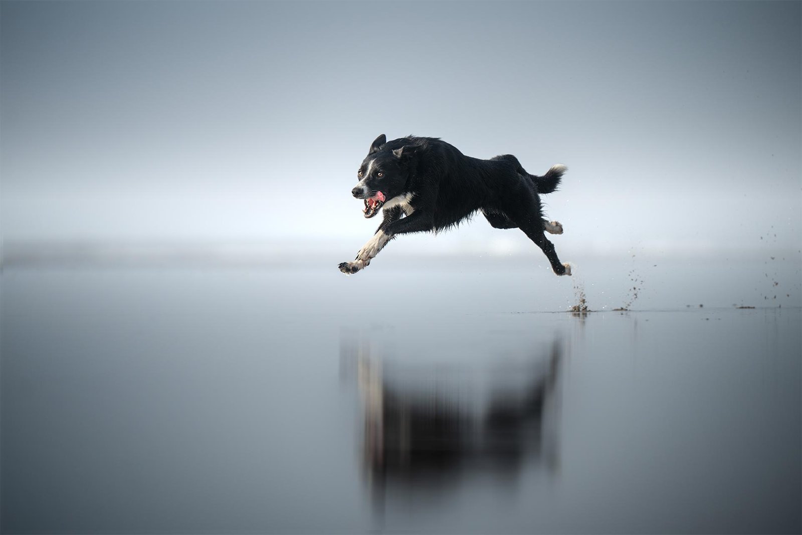 London Photography Awards Winner - Mirror in Motion