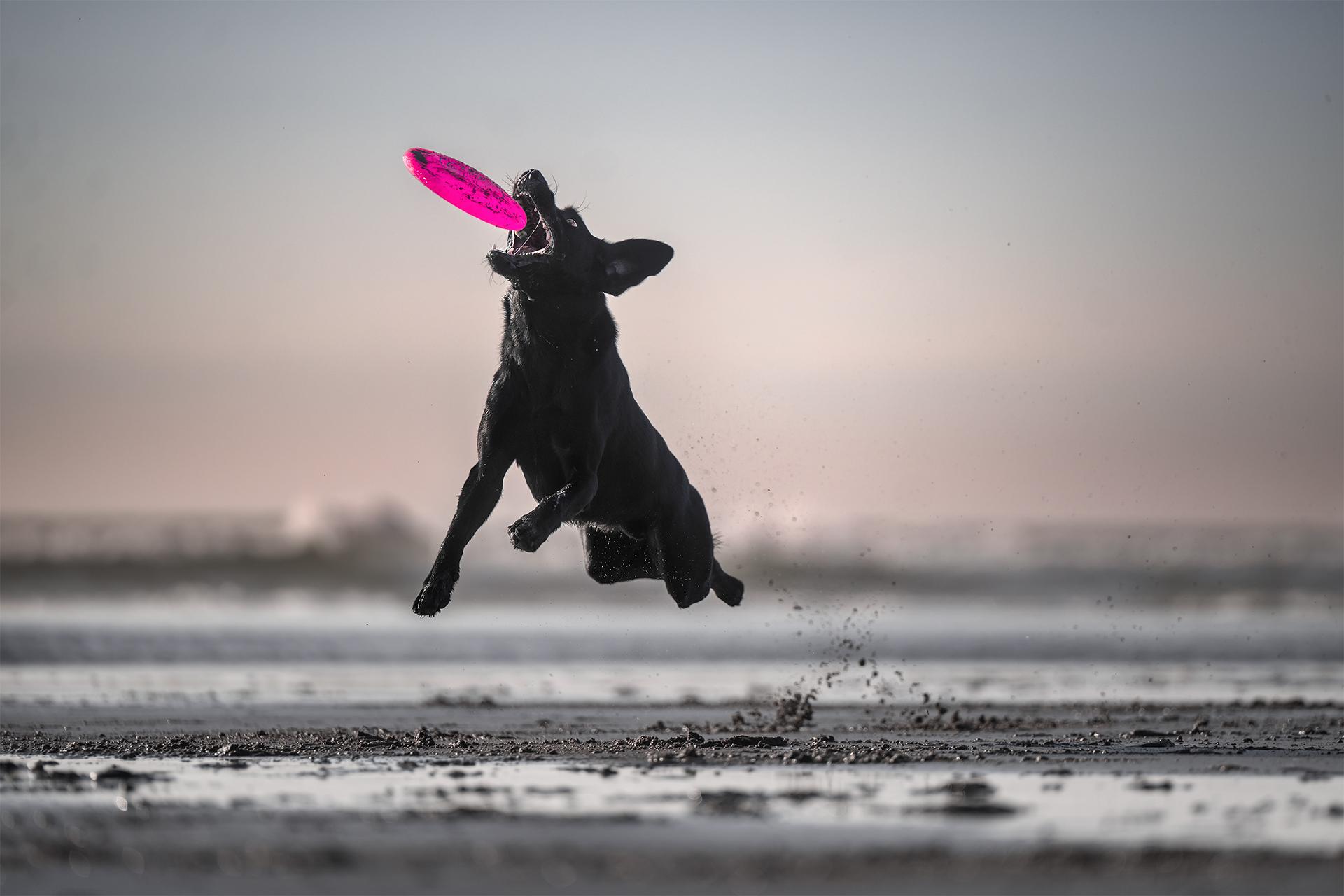 London Photography Awards Winner - Lifted by Joy