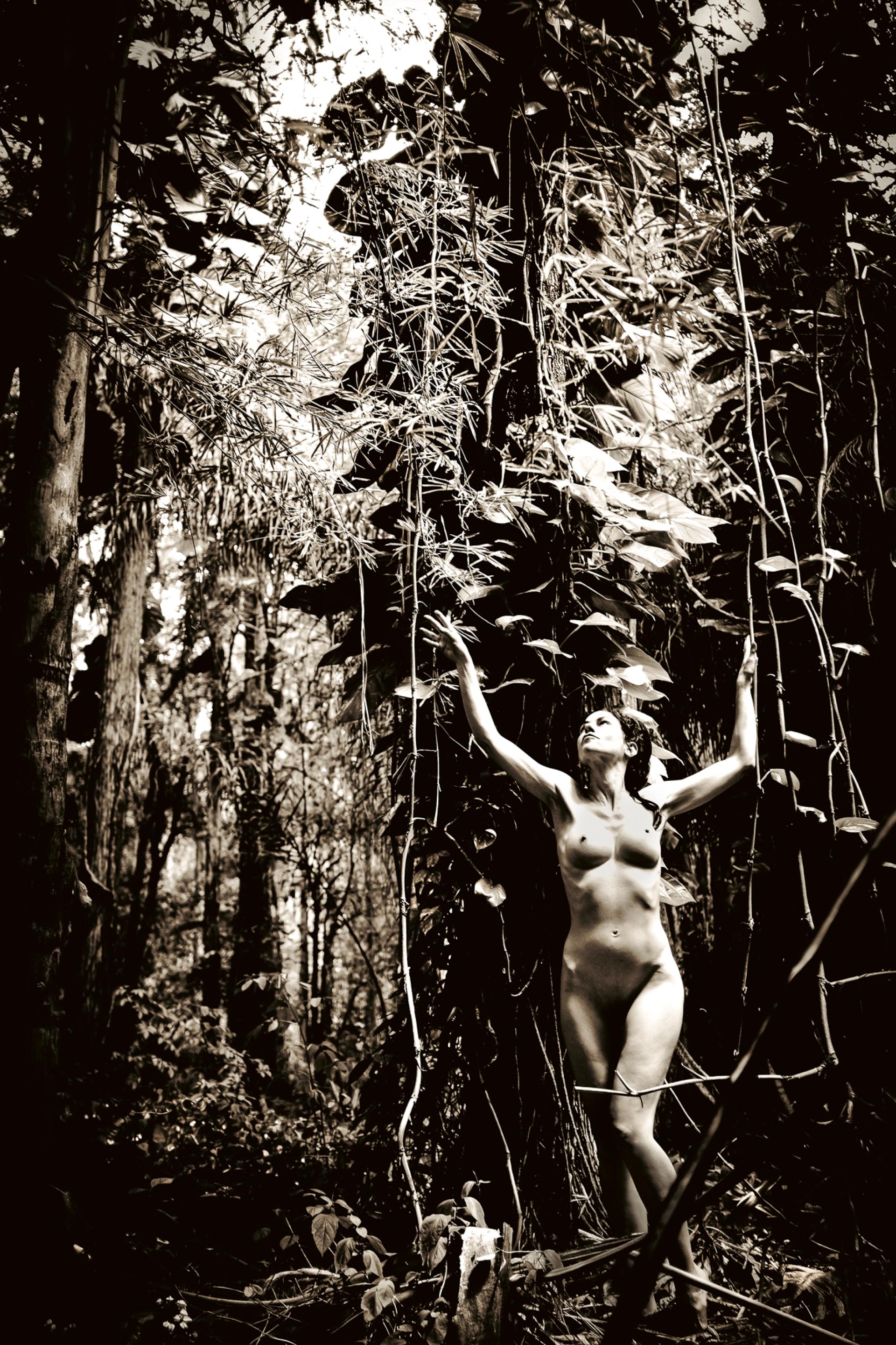 London Photography Awards Winner - Woods Walker