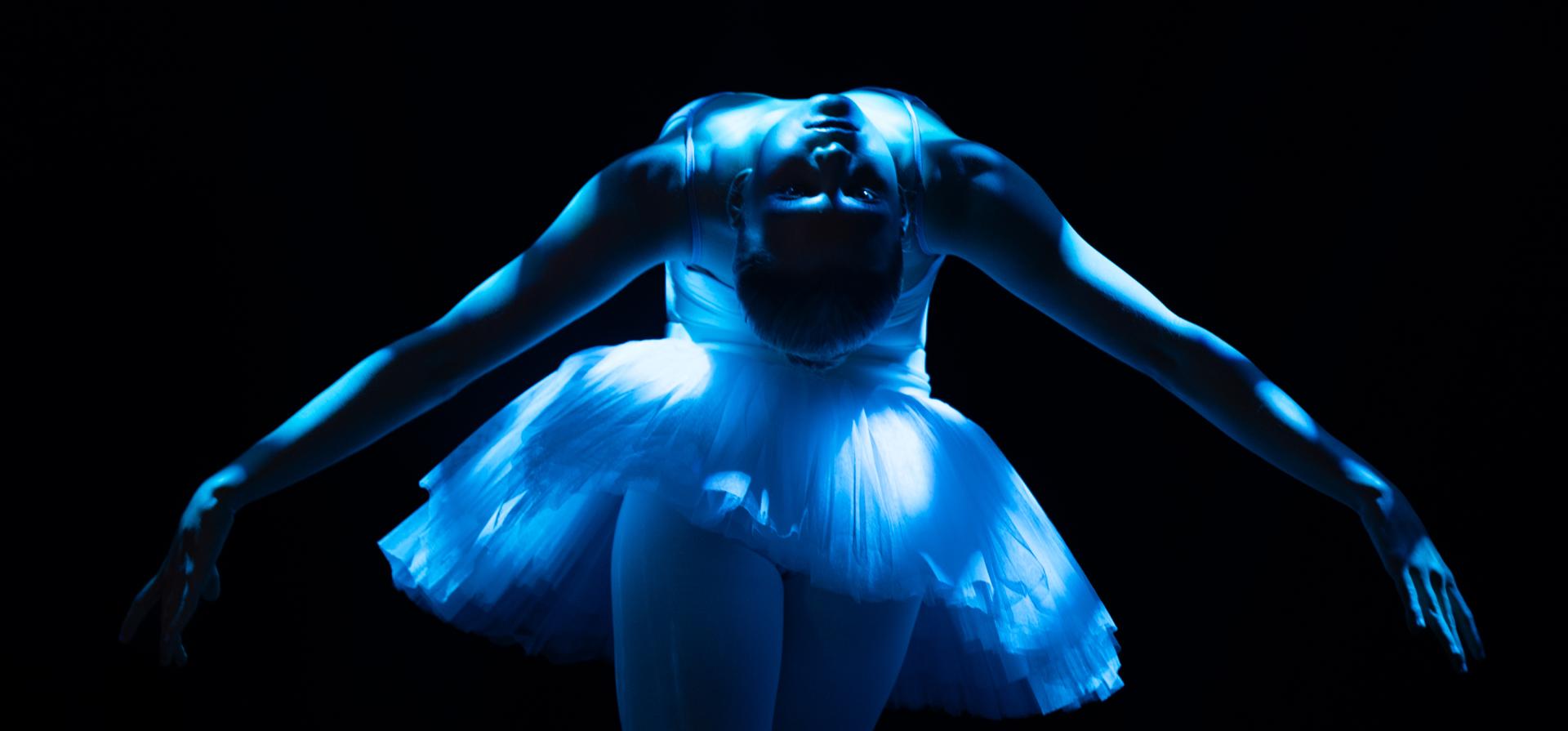 London Photography Awards Winner - Blue Swan in  Ascent