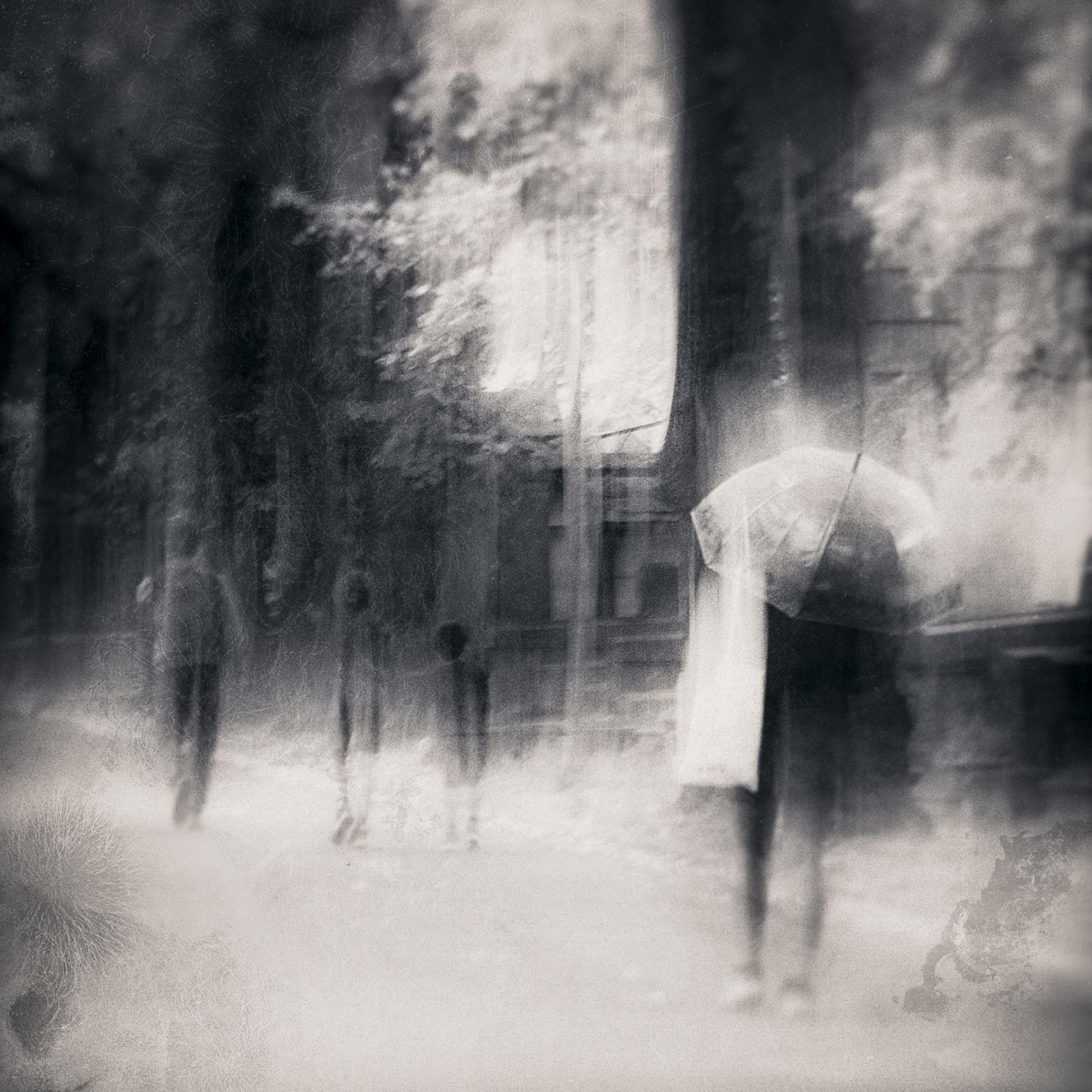 London Photography Awards Winner - Paris in Late Summer
