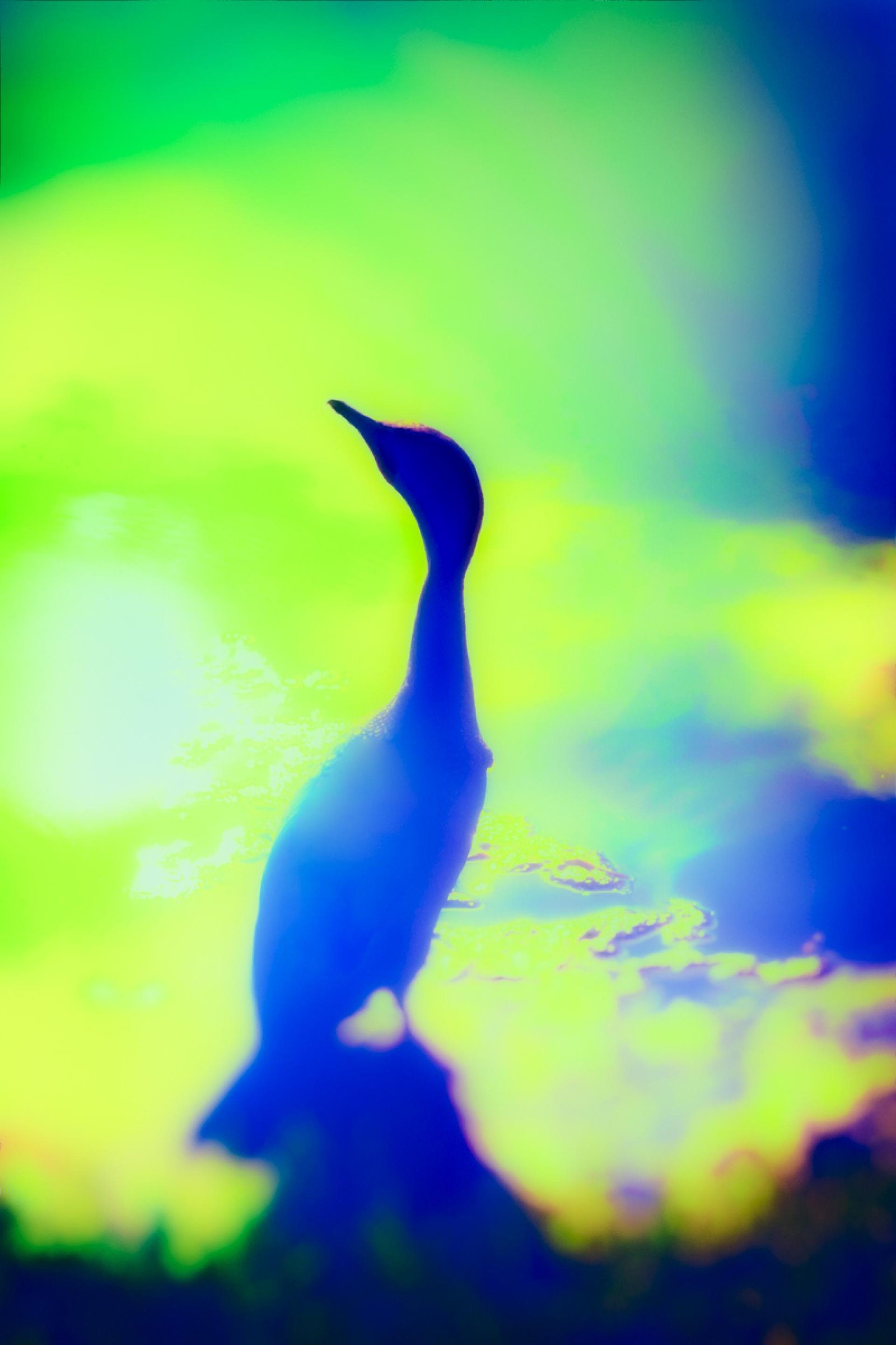 London Photography Awards Winner - Daybreak in Florida