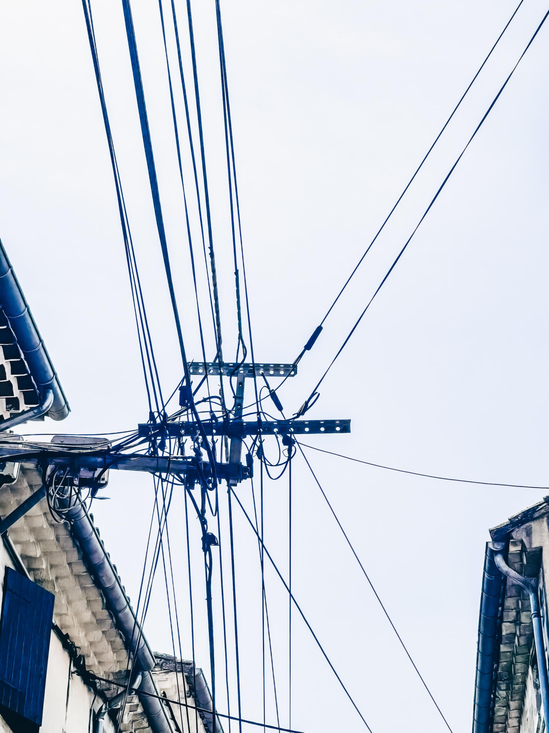 London Photography Awards Winner - Entanglement