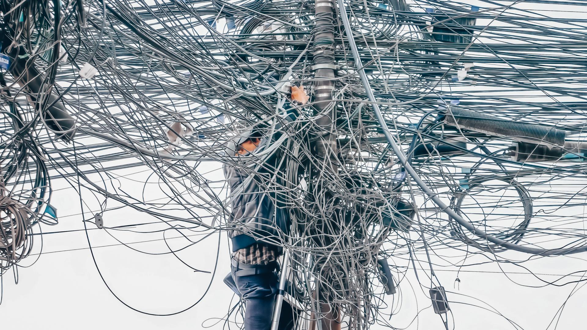 London Photography Awards Winner - Entanglement