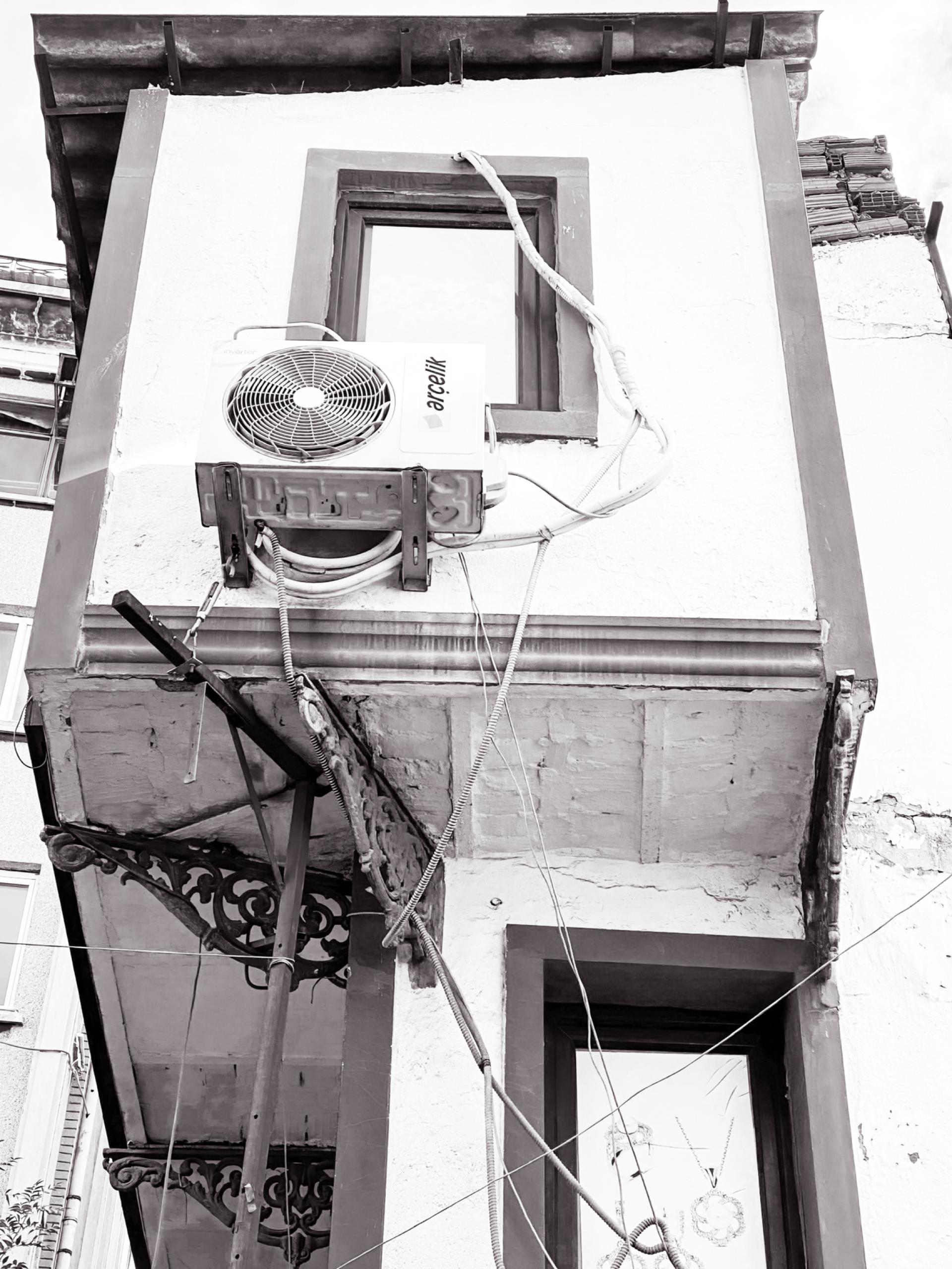 London Photography Awards Winner - Entanglement