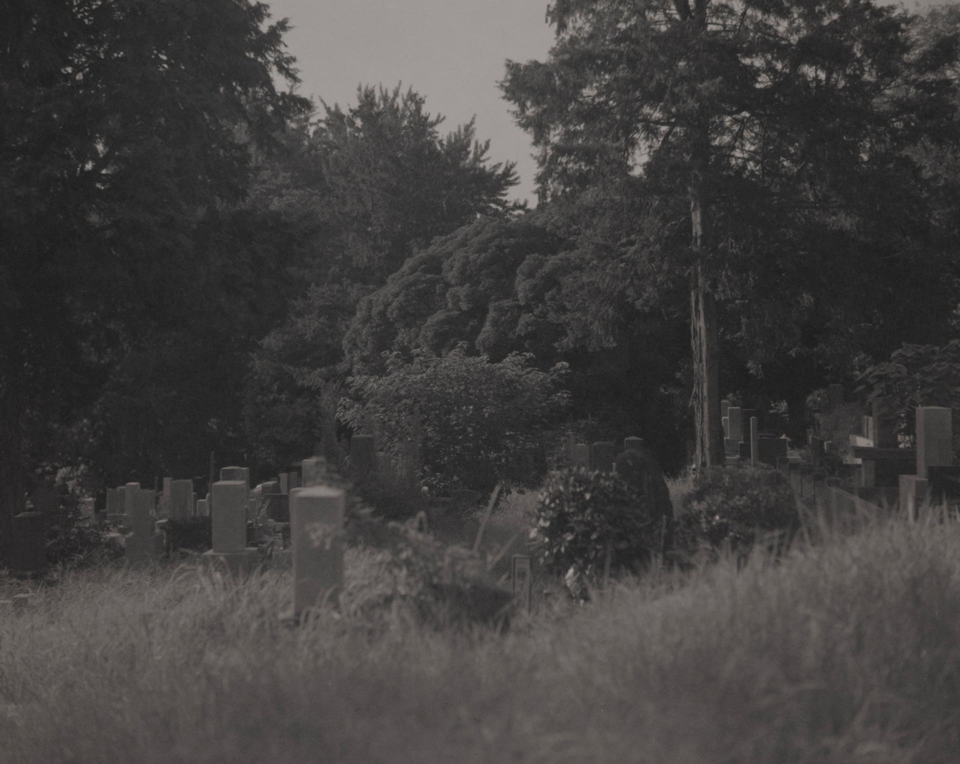 London Photography Awards Winner - Drifts of Memory