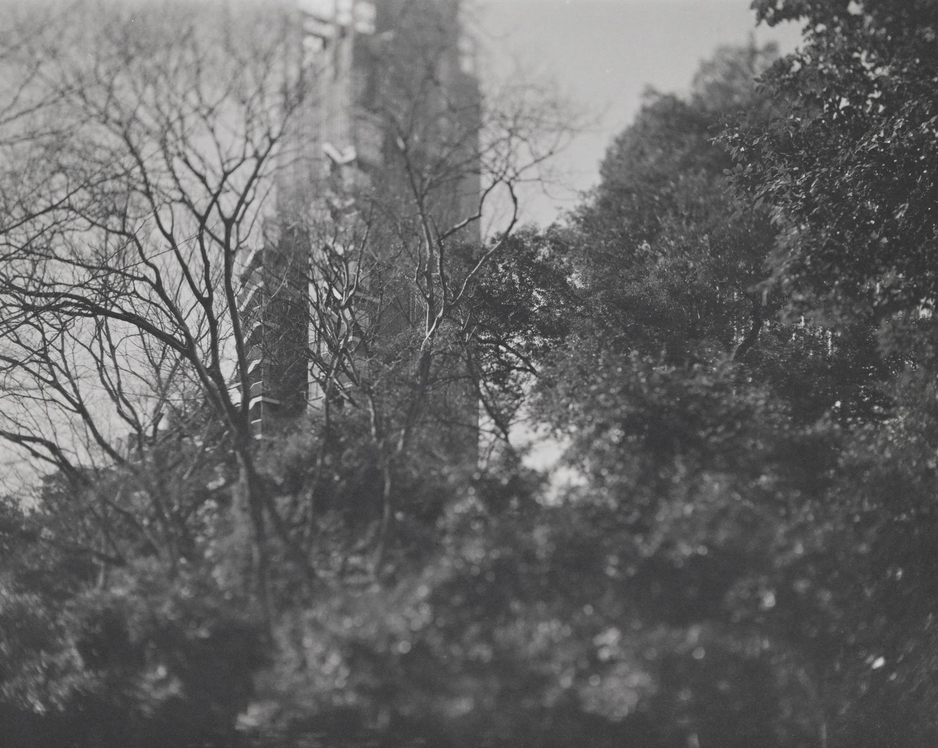 London Photography Awards Winner - Drifts of Memory