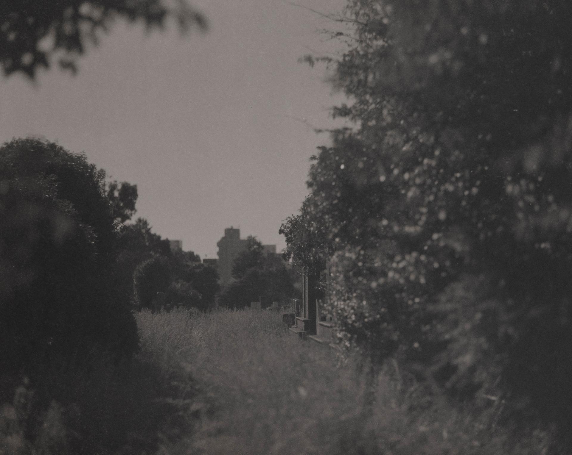 London Photography Awards Winner - Drifts of Memory