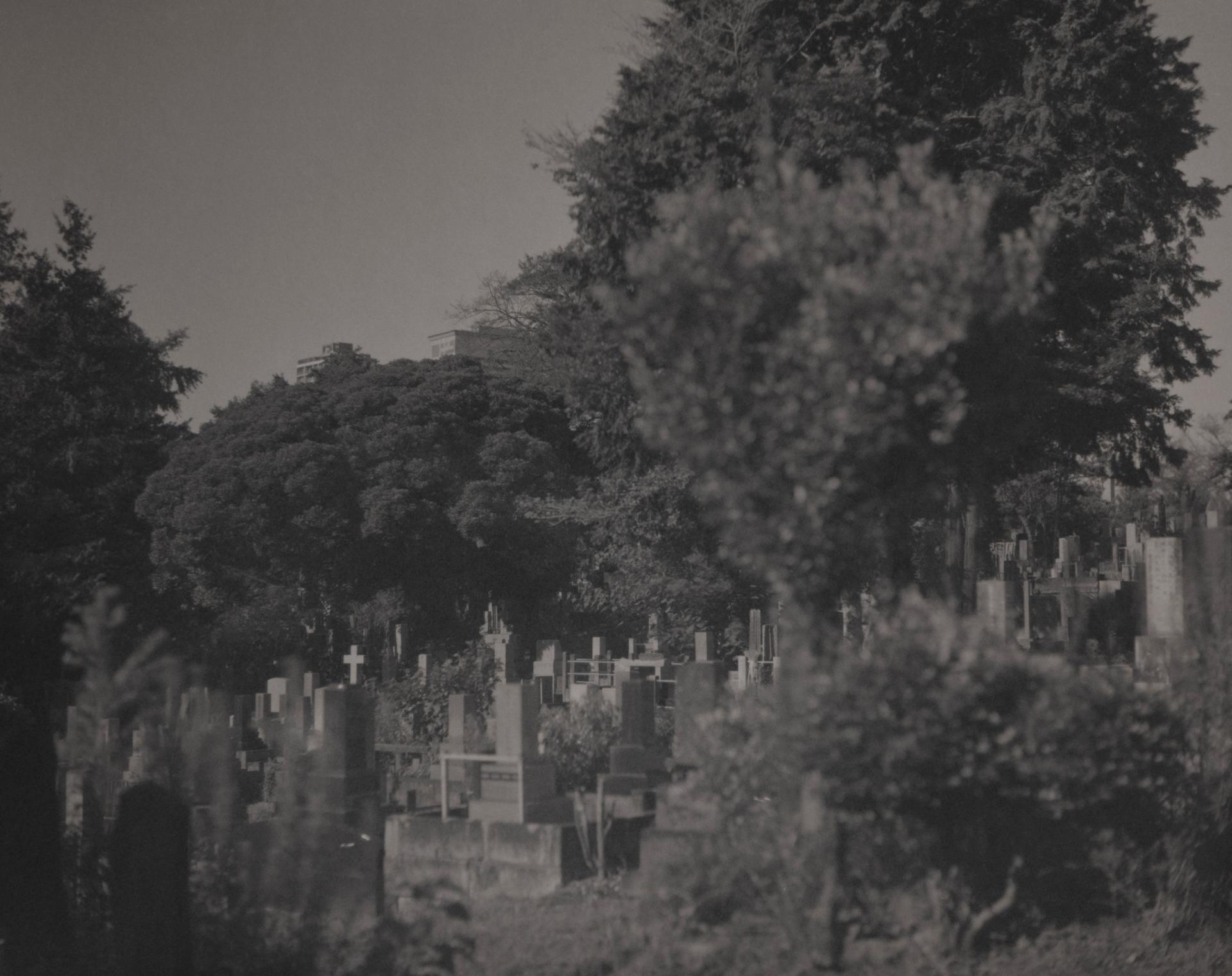 London Photography Awards Winner - Drifts of Memory