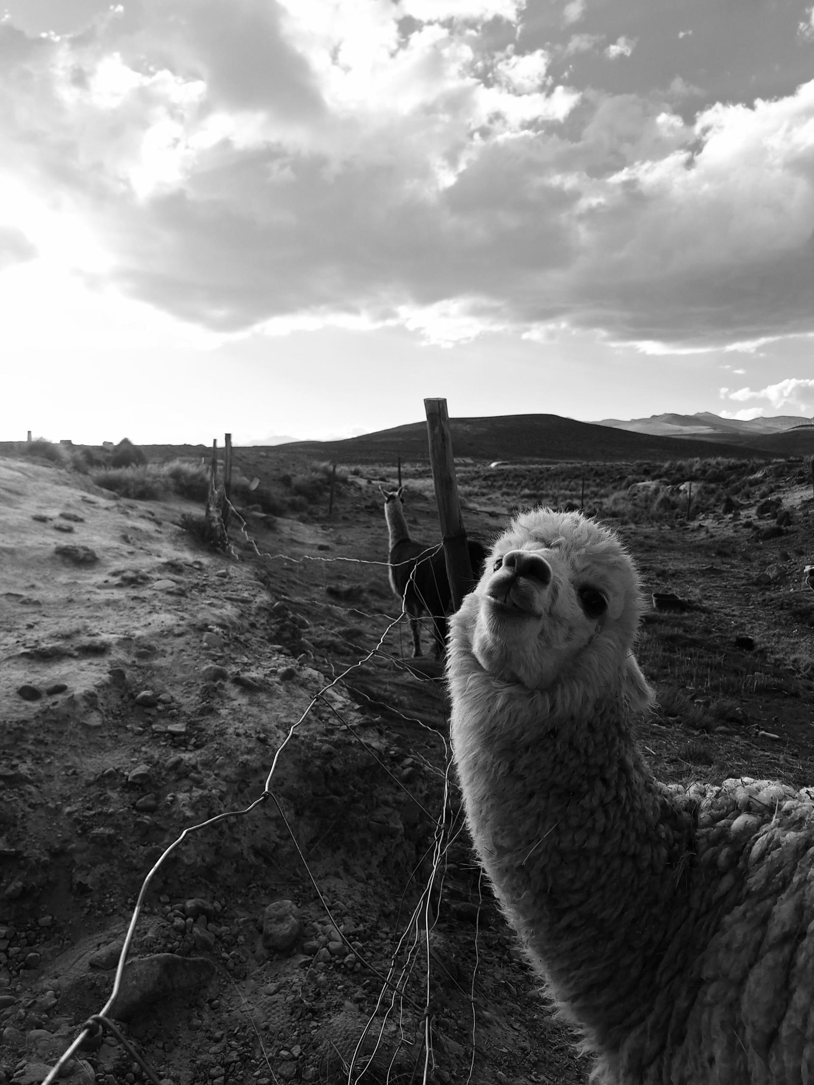 London Photography Awards Winner - Momentos únicos de la fotografía 